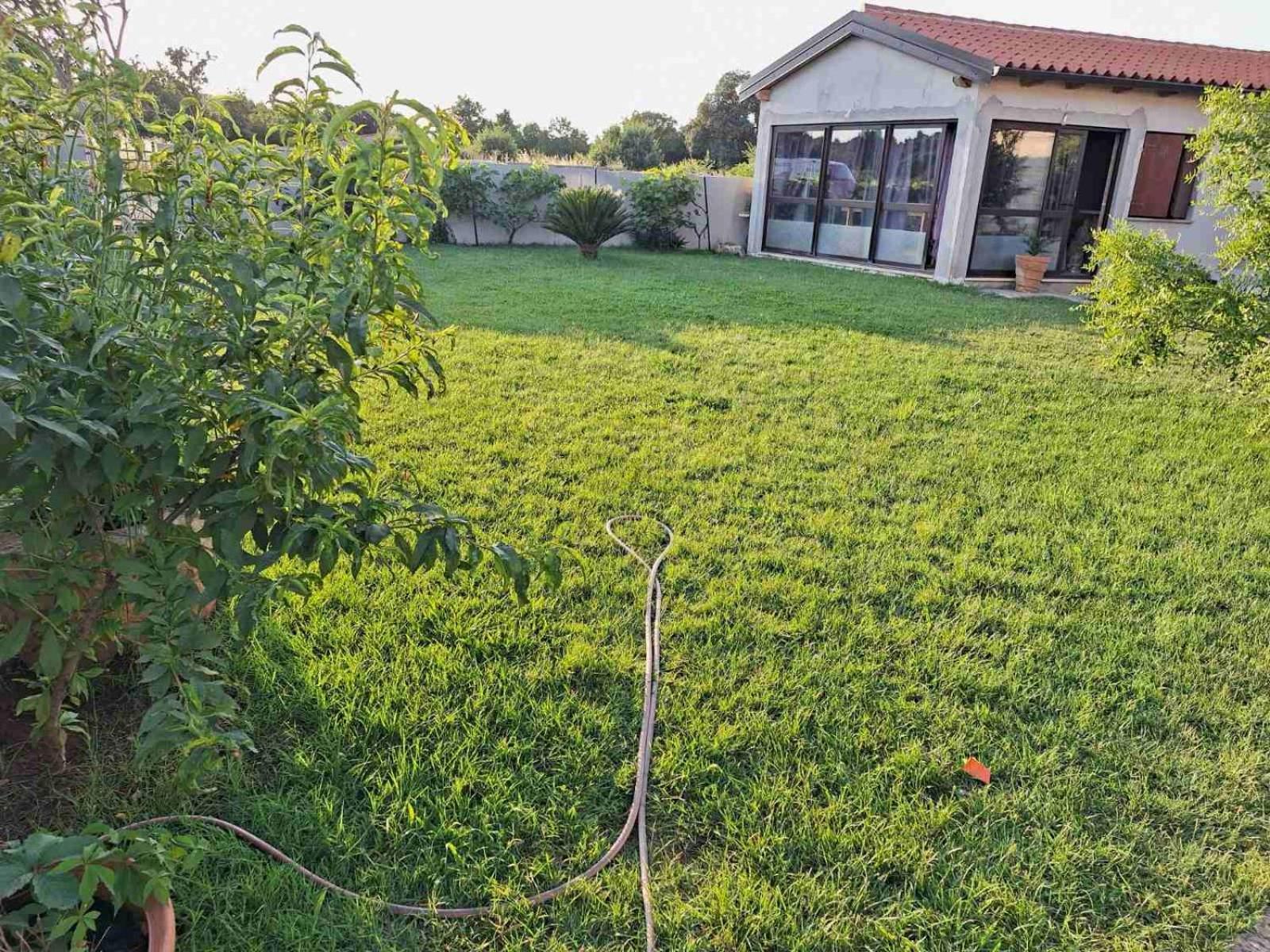 Apartment Ines Pula